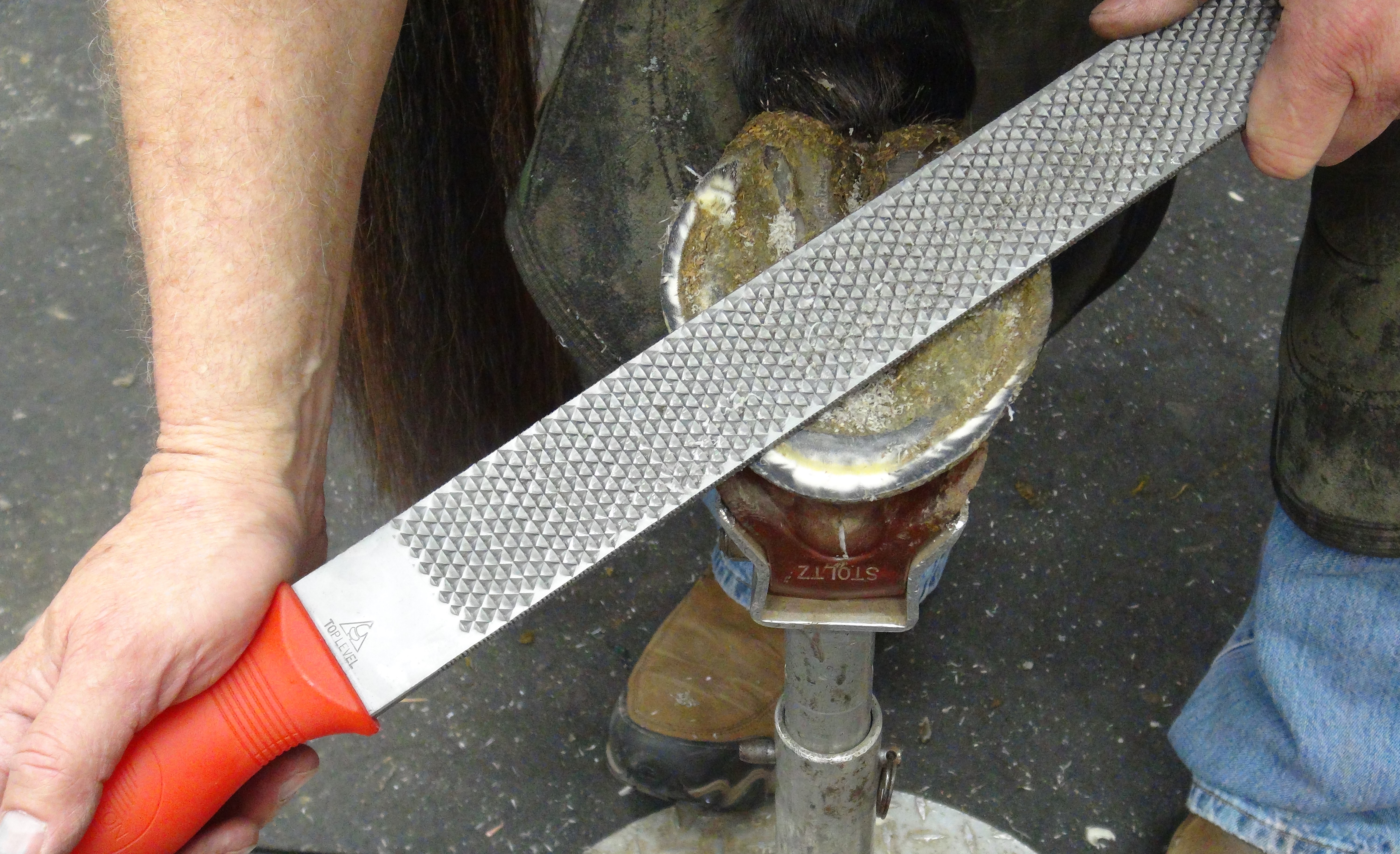 https://www.farrierproducts.com/productguide/product_images/kings.gif